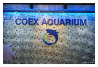 Korea - Day 5 - COEX Aquarium - 1