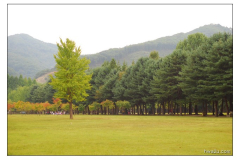 Korea (11.09.2009)