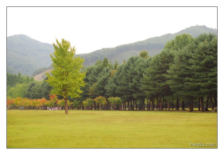 Korea - Day 13 - Nami Seom - 33