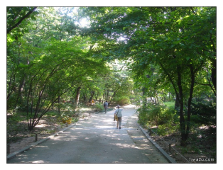 Korea - Day 7 - Jongmyo - 20