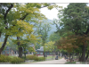 Korea - Day 3 - Gyeong Buk Gung - 36