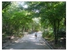 Korea - Day 7 - Jongmyo - 20