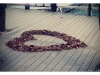 leaflove